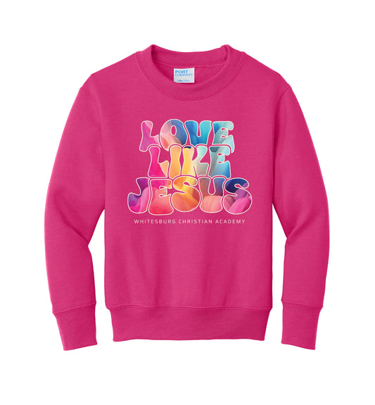 YOUTH Love Like Jesus Sweatshirt - PC90Y